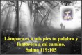 /album/imagenes-cristianas-con-mensaje/a3-sal-119-vs-105-jpg/